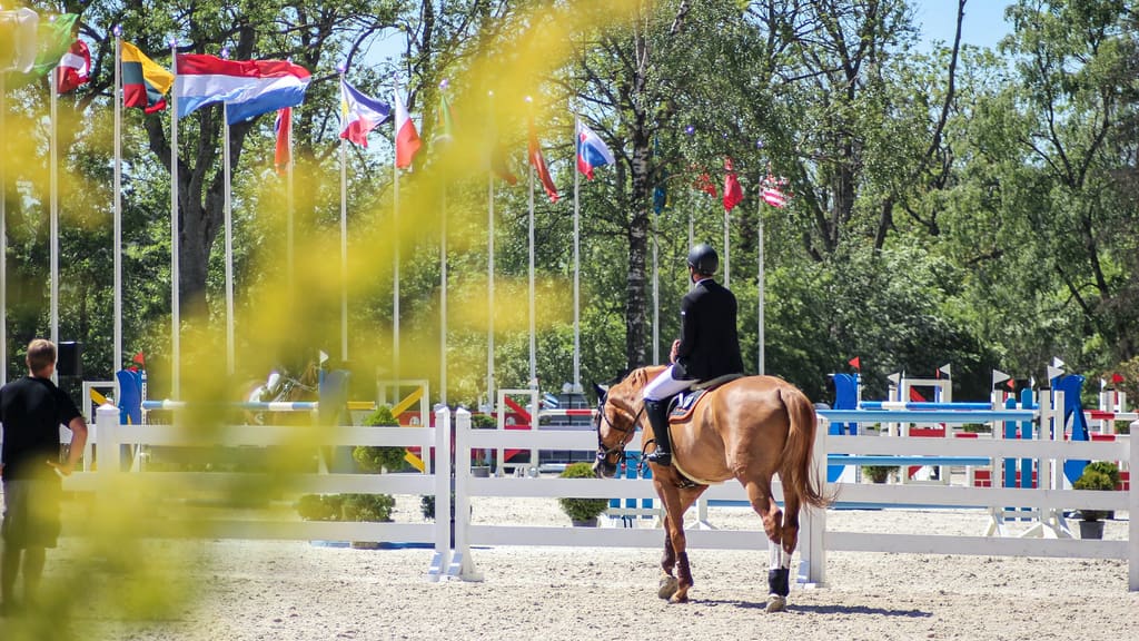Wide horse show facility with international flags and white show-jumping fences